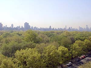 New York 1 Bedroom apartment - other (NY-7030) photo 3 of 7