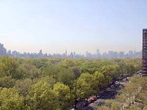 New York 1 Bedroom apartment - other (NY-7030) photo 4 of 7