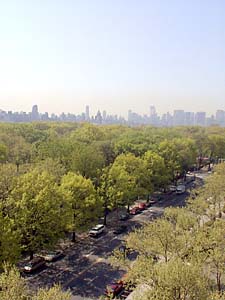 New York 1 Bedroom apartment - other (NY-7030) photo 5 of 7