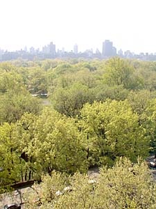 New York 1 Bedroom apartment - other (NY-7030) photo 6 of 7