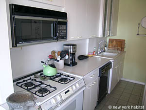 New York 1 Bedroom apartment - kitchen (NY-7030) photo 4 of 5