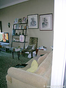 New York 2 Zimmer wohngemeinschaft - wohnzimmer (NY-7185) photo 5 von 6