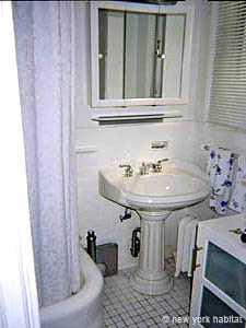 New York Alcove Studio apartment living room photo 4