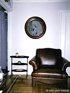 New York Alcove Studio apartment living room photo 7