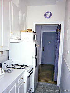 New York Alcove Studio apartment living room photo 9