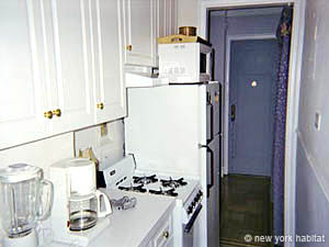 New York Alcove Studio apartment kitchen photo 10