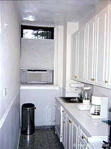 New York Alcove Studio apartment kitchen photo 11