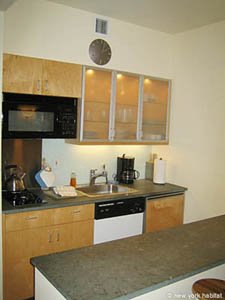 New York 1 Bedroom apartment kitchen photo 16