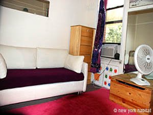 New York 1 Bedroom roommate share apartment - living room (NY-8055) photo 2 of 6