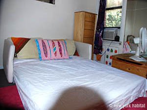 New York 1 Bedroom roommate share apartment - living room (NY-8055) photo 5 of 6