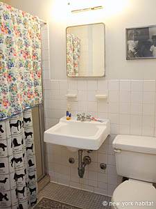 New York 3 Camere appartamento da dividere - bagno 1 (NY-8145) photo 1 di 2