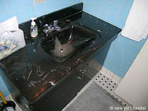 New York T2 appartements colocation - salle d'eau (NY-8209) photo 2 de 3