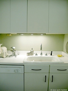New York T2 logements location appartements - cuisine 1 (NY-8584) photo 3 de 3
