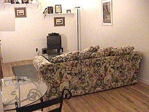 New York Studiowohnung - Loft wohnungsvermietung - wohnzimmer (NY-8712) photo 2 von 5