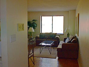 New York 1 Camera da letto appartamento - Appartamento riferimento NY-8855