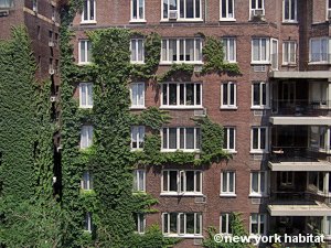 New York 1 Bedroom roommate share apartment - bedroom (NY-9074) photo 6 of 6