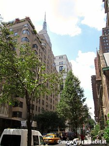 New York 1 Bedroom roommate share apartment - other (NY-9074) photo 11 of 13