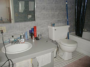 New York 2 Camere appartamento da dividere - bagno 1 (NY-9084) photo 2 di 3