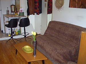 New York Studio accommodation - living room (NY-9140) photo 5 of 7