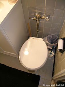 New York 2 Bedroom roommate share apartment - bathroom (NY-9144) photo 2 of 5 New York 2 Bedroom roommate share apartment - bathroom (NY-9144) photo 2 of 5