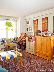 New York 3 Zimmer wohngemeinschaft - schlafzimmer 1 (NY-9262) photo 8 von 8