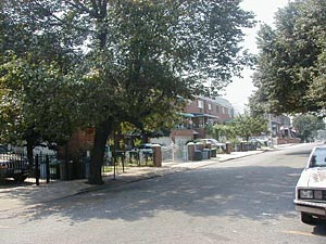 New York 3 Camere appartamento da dividere - altro (NY-9549) photo 1 di 1