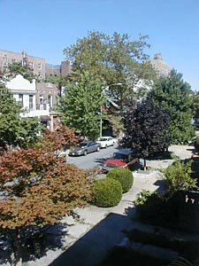New York 5 Zimmer wohngemeinschaft - andere (NY-9697) photo 1 von 10