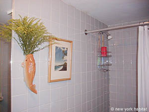 New York Studio/T1 appartements location vacances - salle d'eau (NY-9803) photo 3 de 3