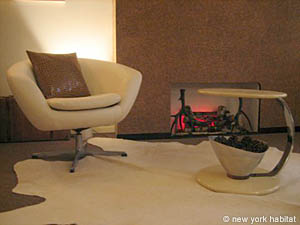 New York Studio/T1 appartements location vacances - s&eacute;jour (NY-9803) photo 9 de 12