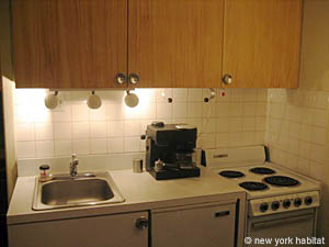 New York Studio/T1 appartements location vacances - cuisine (NY-9803) photo 1 de 1