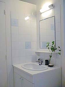 Paris Studio apartment bathroom photo 9