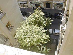 Paris 2 Zimmer ferienwohnung - andere (PA-713) photo 1 von 3