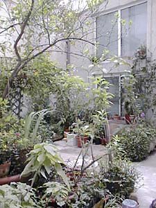 Paris T2 appartements location vacances - autre (PA-915) photo 1 de 2