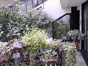 Parigi 3 Camere - Duplex appartamento casa vacanze - altro (PA-968) photo 1 di 3