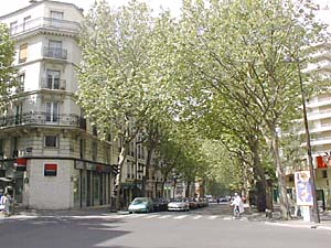 Parigi 3 Camere - Duplex appartamento casa vacanze - altro (PA-968) photo 3 di 3