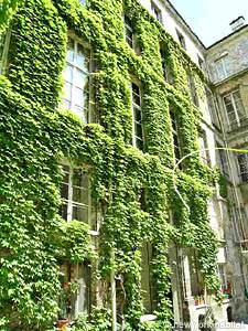 Paris 1 Bedroom - Duplex accommodation - other (PA-1075) photo 5 of 6