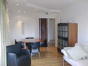 Paris 3 Zimmer wohnungsvermietung - wohnzimmer (PA-1125) photo 5 von 6