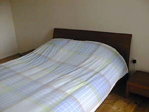 Paris 3 Zimmer wohnungsvermietung - schlafzimmer 2 (PA-1125) photo 2 von 3