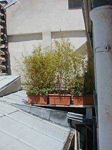 Paris T4 logements location appartements - autre (PA-1516) photo 10 de 18