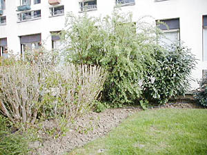 Paris T2 appartements location vacances - autre (PA-2006) photo 3 de 4