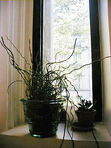 Paris T2 - Triplex - Maison citadine appartements location vacances - autre (PA-2067) photo 8 de 13