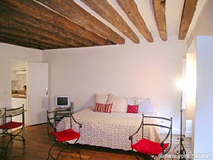Parigi Monolocale appartamento casa vacanze - soggiorno (PA-2209) photo 4 di 7