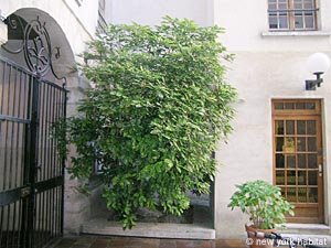Paris Studio/T1 logements location appartements - autre (PA-2243) photo 3 de 4