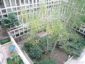 Paris T3 logement location appartement - autre (PA-2258) photo 5 sur 10