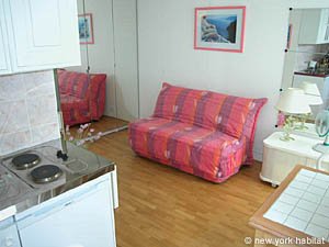 Paris Studio accommodation living room photo 4