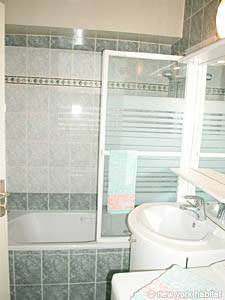 Paris Studio apartment bathroom photo 42