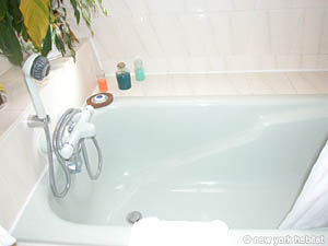 Paris Studio/T1 appartements location vacances - salle d'eau (PA-2918) photo 1 de 3