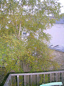 Paris 2 Bedroom apartment - other (PA-3308) photo 6 of 12