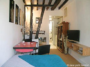 Paris Studio accommodation living room photo 23