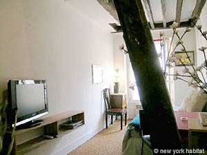 Paris Studio accommodation living room photo 25